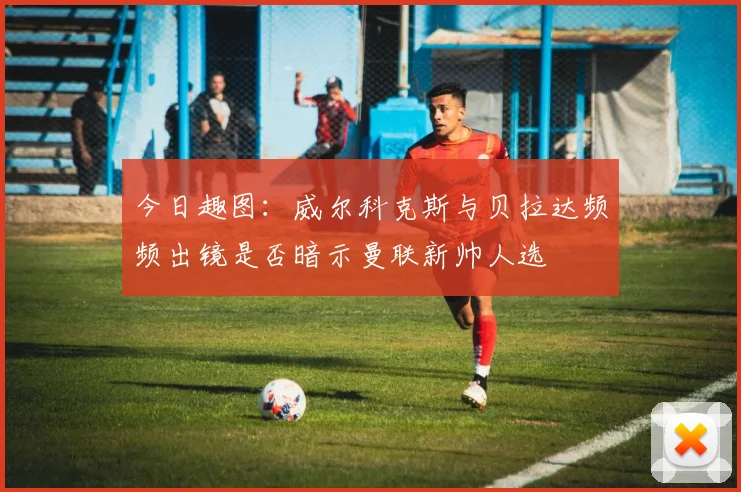 今日趣图：威尔科克斯与贝拉达频频出镜是否暗示曼联新帅人选